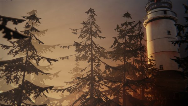 Life is Strange зимний лес