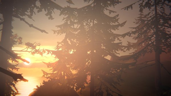 Life is Strange 2 фон