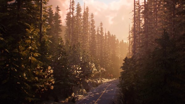 Life is Strange 2 пейзажи