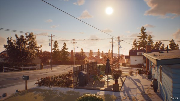 Lis 2 Аркадия Бэй