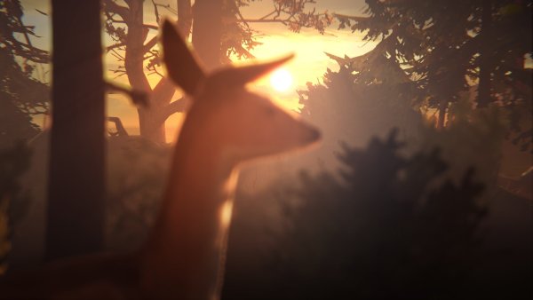 Life is Strange фон