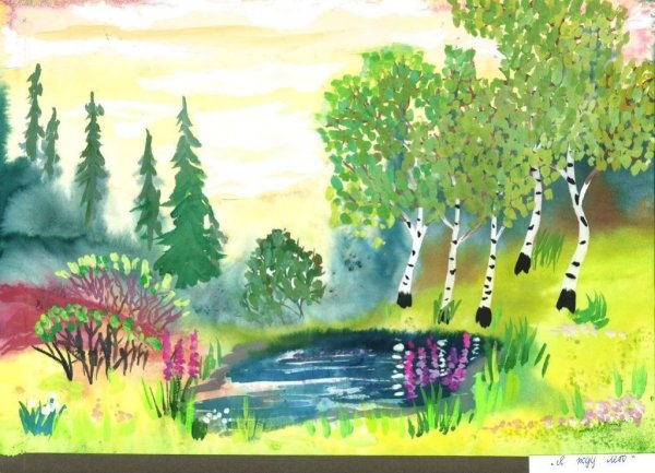 Рисунки природы