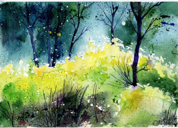 Лес акварелью