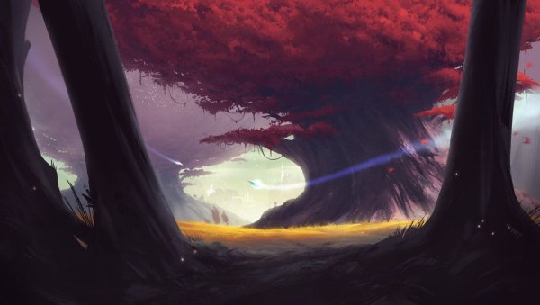 Ночное небо аниме