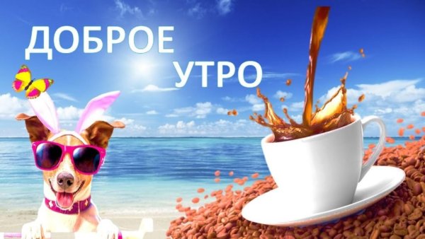 Морской Прибой Анапа рассвет