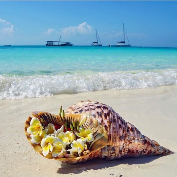 Цитаты про море