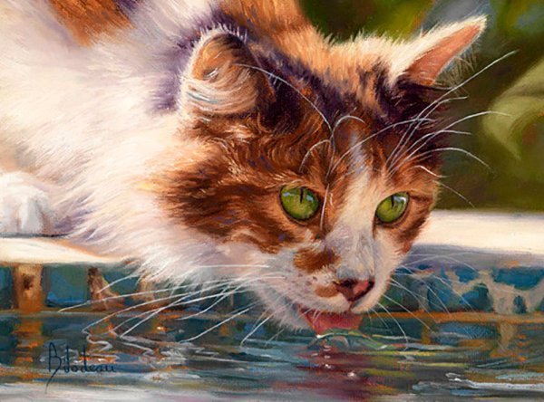 Художник Lucie Bilodeau