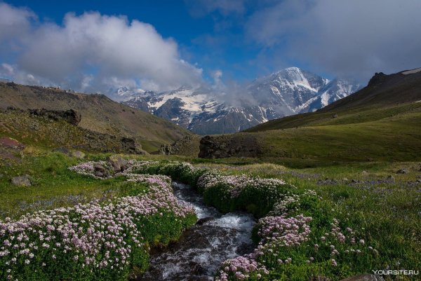Альпийские Луга Кабардино-Балкарии