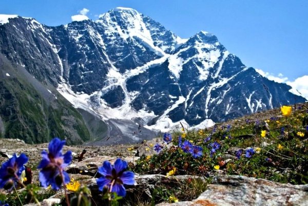 Альпийские Луга Приэльбрусья