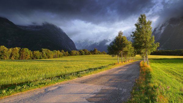 Пейзаж с дорогой