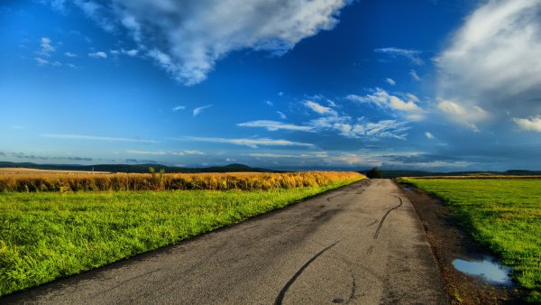 Природа дорога