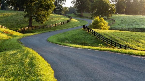 Природа дорога