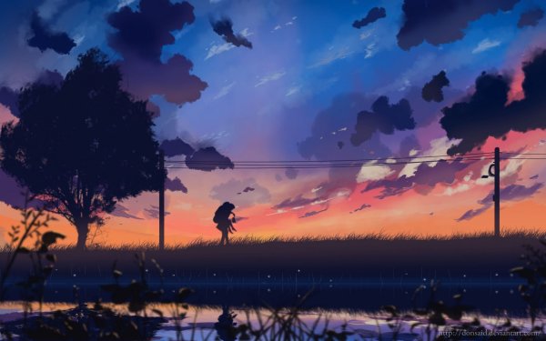 Макото Синкай закат