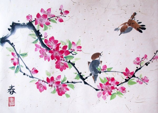 Сакура гохуа