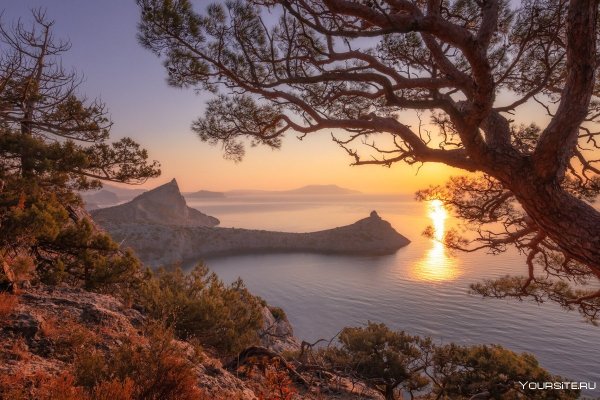 Новый свет Крым осень