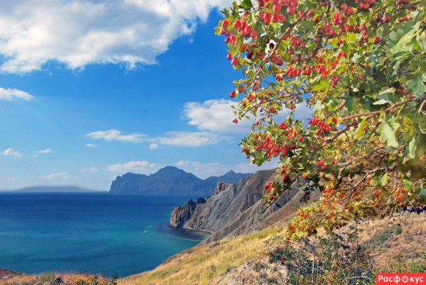 Коктебель сентябрь природа