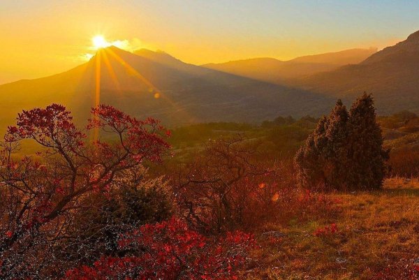 Природа осень