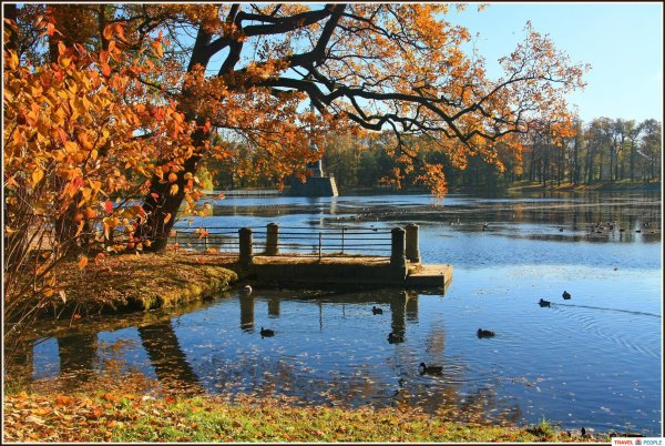 Широколиственный лес в горах Кавказа