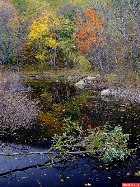 ЮБК Севастополь