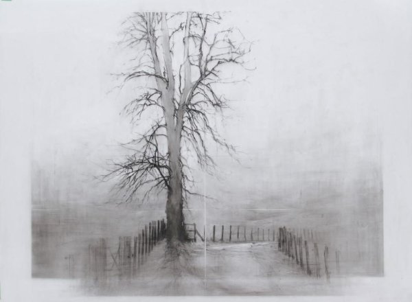 Деревья акварелью монохром