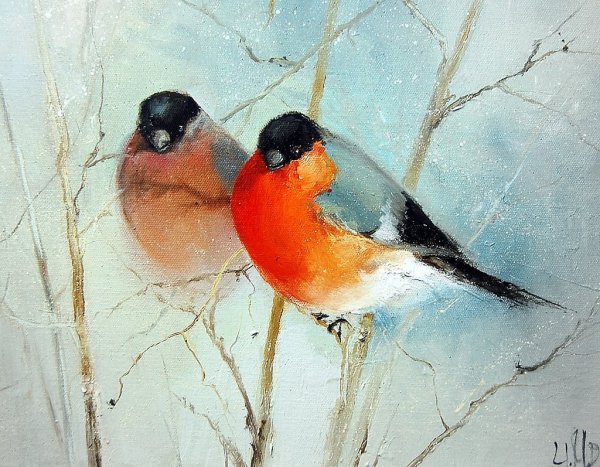 Зима Снегири