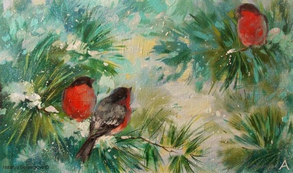 Снегирь на еловой ветке