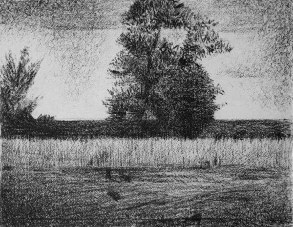 Пуантилизм (дивизионизм)