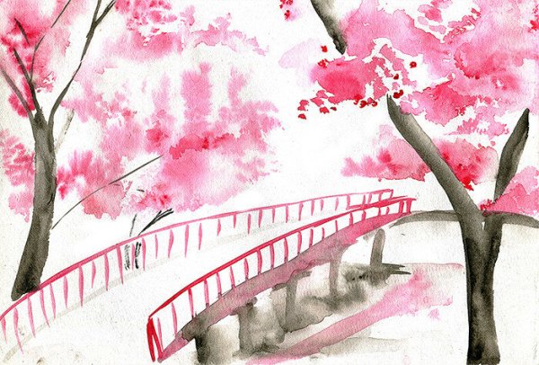 Сакура акварельными карандашами