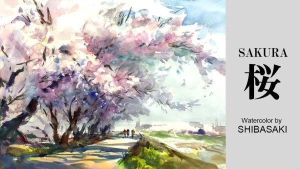 Shibasaki рисунки для акварели