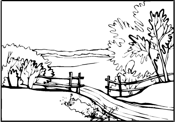 Раскраска природа береза