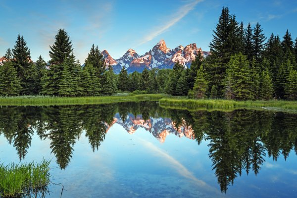 Красивая панорама природы