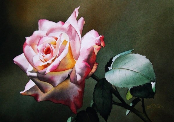 Художница Maureen Bainbridge.