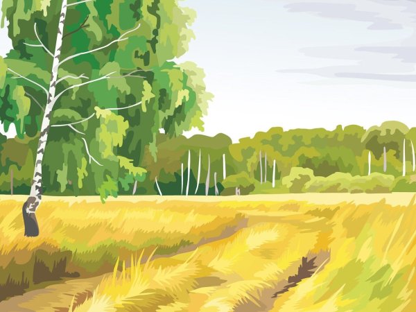 Рисунки природы