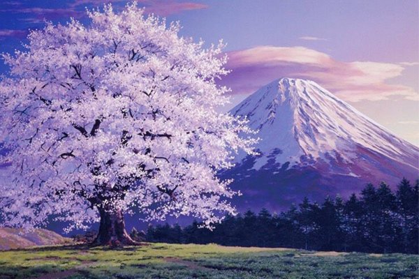 Китайская живопись Сакура Фудзи
