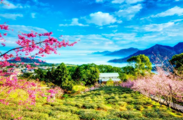 Япония горы Сакура арт