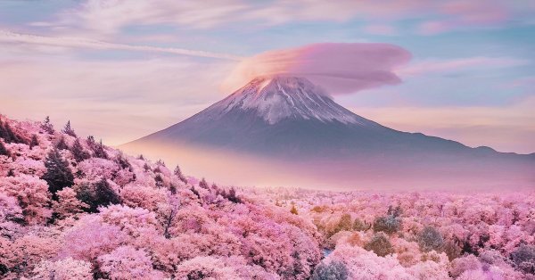 Китайская живопись горы и Сакура