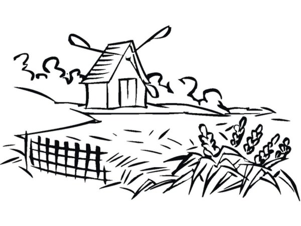 Сельский пейзаж раскраска