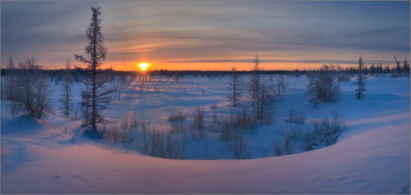 Новый Уренгой тундра зима