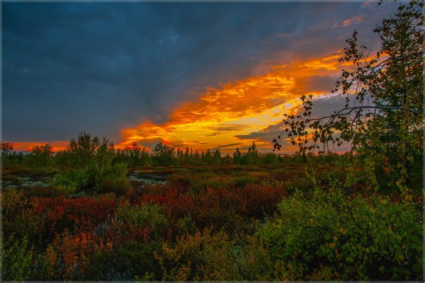 Ямал осенью