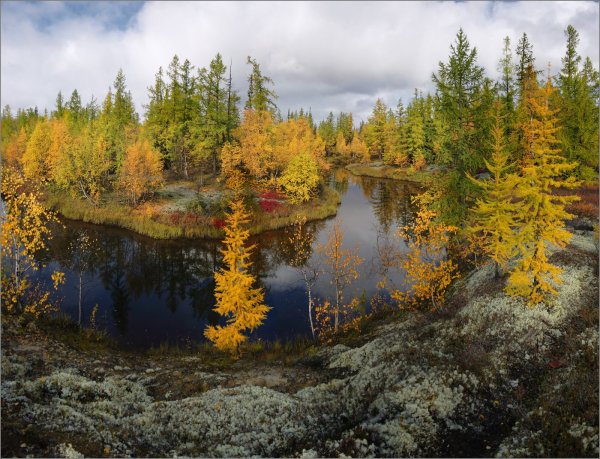 Новый Уренгой площадь города