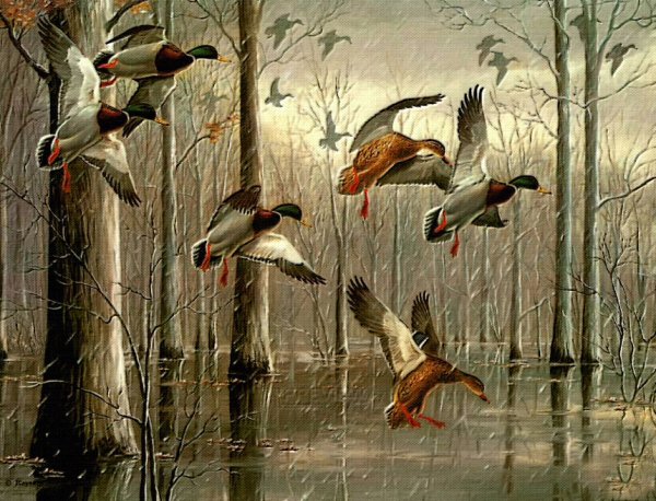 Красивые картины