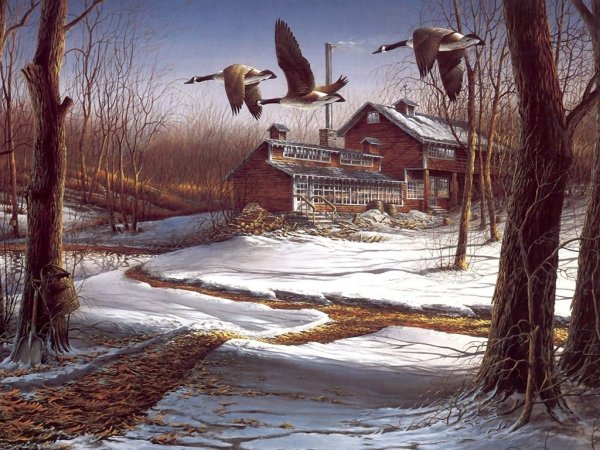 Кормушка живопись