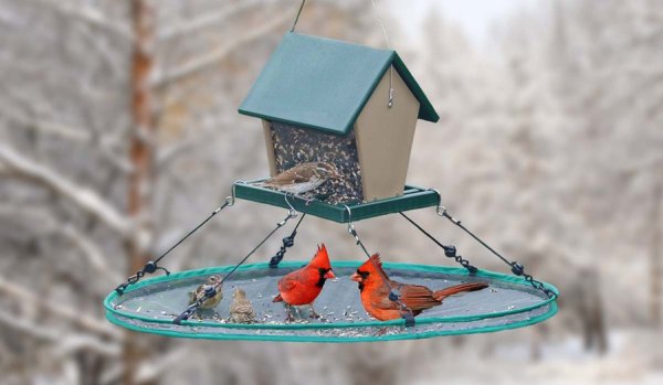 Сюжетные картины с птицами