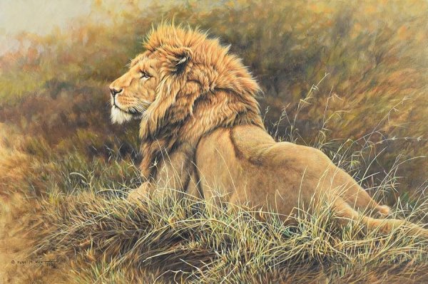 Лев сен Санс