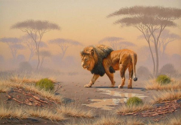 Картины Дэвида Стрибблинга.