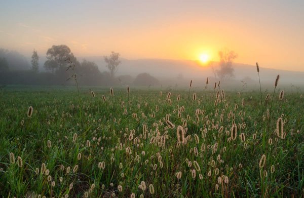 Бежин луг утро
