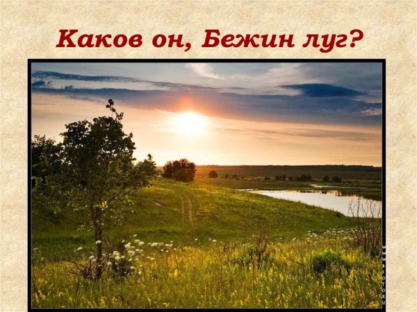 Прекрасный июльский день Бежин луг