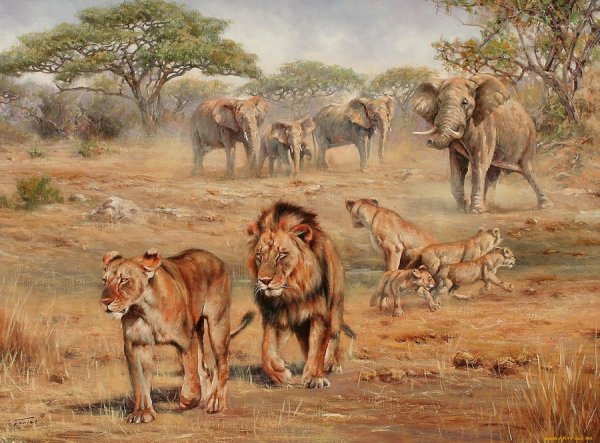 Картина Лев широкая