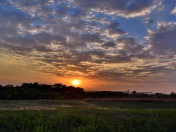 Бежин луг поле