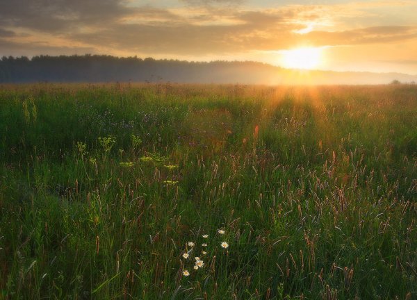 Прекрасный июльский день Бежин луг